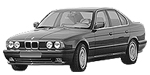 BMW E34 P0C8F Fault Code